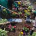 Doce  mujeres del Programa MUR de empleo en Noja finalizan el curso de jardinería y restauración de paisajes