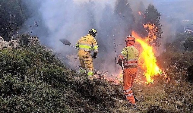 La Guardia Civil esclarece 19 incendios que afectaron cerca de 750 Hectáreas de monte público