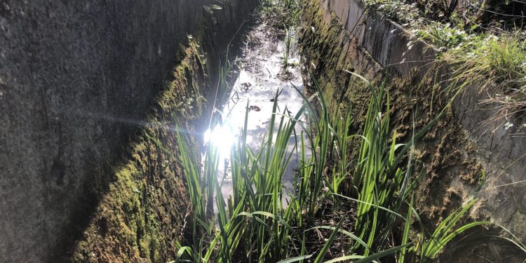 Unidos X Laredo reitera su petición al Ayuntamiento de Laredo de adopción de medidas inmediatas ante el riesgo de inundaciones con las próximas lluvias