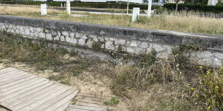 Unidos x Laredo presenta una moción para la puesta en marcha de un “Plan de Accesibilidad Universal en la Playa de Salvé”