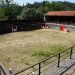 Presidencia destina 50.000 euros para subvencionar la promoción de la tauromaquia en municipios en riesgo de despoblamiento