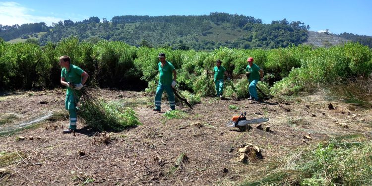 SEO/BirdLife, dos años y medio mejorando la biodiversidad, la cultura, la salud humana y el bienestar social