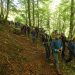 Éxito de participación en la primera salida al campo en otoño de Bosques de Cantabria
