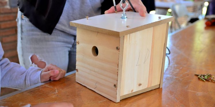 Astillero se suma al taller de construcción de cajas nido para promover la biodiversidad urbana