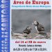 Exposición “Aves de Europa” en la Casa de Cultura de Santoña
