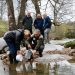 Desarrollo Rural impulsa la repoblación de trucha con la suelta de más de 10.000 alevines en Puente Viesgo