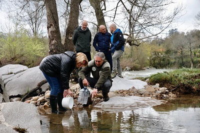 Desarrollo Rural impulsa la repoblación de trucha con la suelta de más de 10.000 alevines en Puente Viesgo