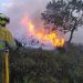 El Gobierno establece las prohibiciones y suspensión de actividades en el monte ante el riesgo meteorológico de incendio forestal