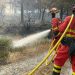 Ante la oleada de incendios que asola el territorio :España necesita una estrategia que ponga el acento en prevenir y restaurar con criterios científicos