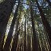 Espacio Magallanes de UNATE se llena de naturaleza para comprender el entorno que nos rodea