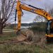 En el marco del proyecto europeo LIFE COOP Cortaderia, SEO/BirdLife y Redeia, impulsan la eliminación del plumero en Cantabria en más de 100 hectáreas de corredores eléctricos