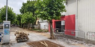 Las amenazas de tala vuelven a los árboles de Gutiérrez Rada