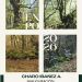 La artista Charo Ibáñez Alonso invita a descubrir la magia de la naturaleza en la exposición «Veo… veo… ¿Qué ves?»
